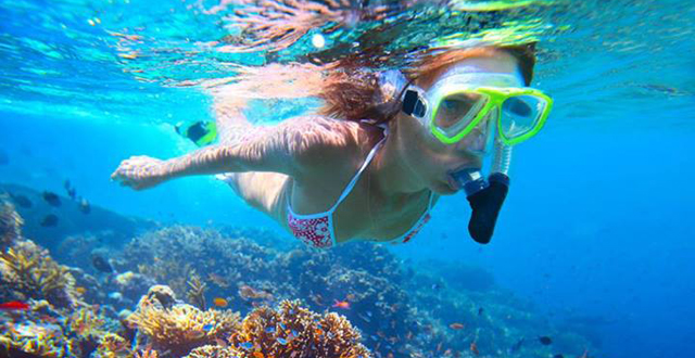 Practica snorkel con tu familia y pasa un día inolvidable en la playa